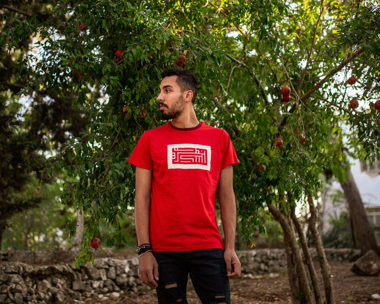 Palestine